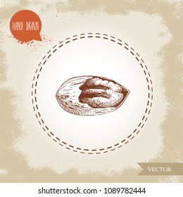 Pecan nut. Hand drawn sketch style cracked pecan nut kernel. Organic snack and food vector illustration isolated on vintage background.