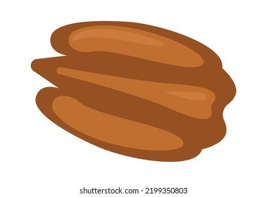 Pecan Nut. Healthy Food. Vector Illustration