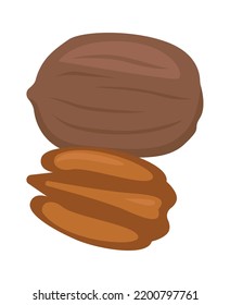 Pecan Nut Healthy Food. Vector Illustration