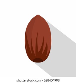 Pecan nut icon. Flat illustration of pecan nut vector icon for web on white background