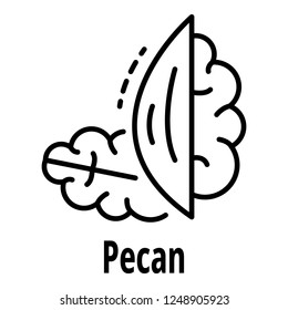 Pecan nut icon. Outline pecan nut vector icon for web design isolated on white background