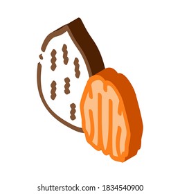 pecan nut icon vector. isometric pecan nut sign. color isolated symbol illustration