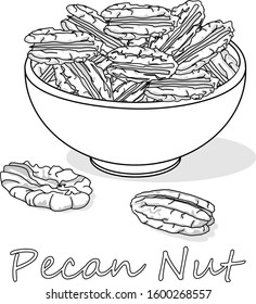 Pecan nut isolated on white background. Vector illustration. Monochrome pecan image...