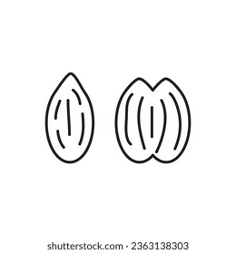 Pecan nut line icon.Pecan shell outline vector icon. flat illustration on white background..eps