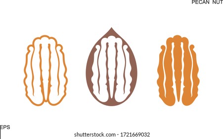 Pecan nut logo. Isolated pecan nut on white background