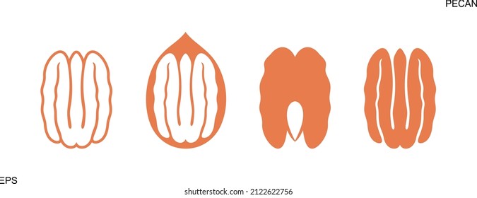 Pecan nut logo. Isolated pecan nut on white background