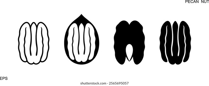 Pecan nut logo. Isolated pecan nut on white background