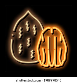 Pecan Nuss Neon Leuchtzeichen Vektorgrafik. Glühendes Symbol Pecan-Nusszeichen. transparente Symbolillustration