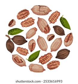 Pecan Nut Round Composition with Kernel and Shell Vector Template