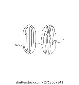 Pecan Nut Ilustración vectorial. arte lineal, una línea continua, simple, dibujado a mano y estilo de boceto. para iconos, símbolos, signos o logotipos