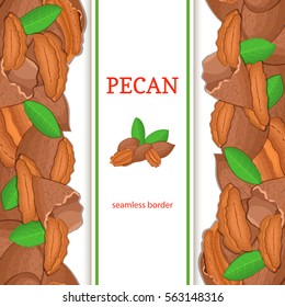 Pecan nut vertical seamless border. Vector illustration with composition of a delicious walnut nut fruit in the shell whole shelled leaves appetizing looking for packaging design healthy food