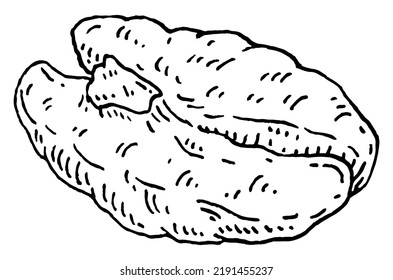 Pecan nut without shell. Vector engraving black vintage illustration. Isolated on white background.