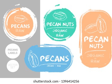 Pecan nuts colorful label set. Raw organic pecans Badge shapes. Creative Nut tags. Raw food stickers ready for web and print. Painting brush style labels. Brush stroke badges.