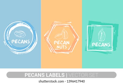 Pecan nuts colorful label set. Raw organic pecans Badge shapes. Creative Nut tags. Raw food stickers ready for web and print. Painting brush style labels. Brush stroke badges.