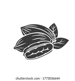 Pecan nuts glyph icon for template label, packing and emblem farmer market design. Retro sketch style.