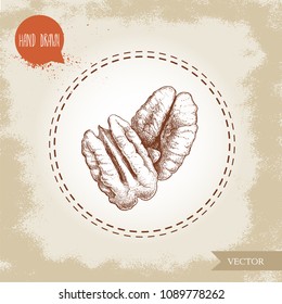 Pecan nuts. Hand drawn sketch style composition of pecan seeds. Organic snack vector illustration isolated on retro background.