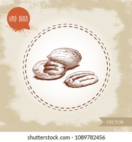 Pecan nuts. Hand drawn sketch style peeled and whole pecan nuts composition. Organic snack and food vector illustration isolated on vintage background.