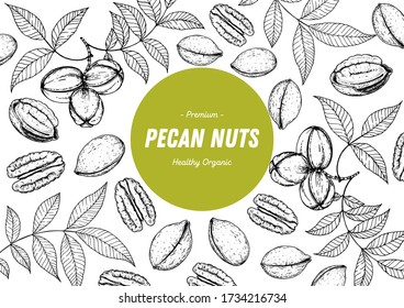 El boceto dibujado a mano por las castañas. Ilustración vectorial de nueces. Alimentos orgánicos saludables. Ideal para el diseño de envases. Estilo grabado. Color blanco y negro.