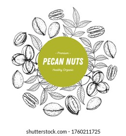 Pecan nuts hand drawn sketch. Pecan label, logo. Nuts vector illustration. Pecan branch. Organic healthy food. Great for packaging design. Engraved style. Black and white color.