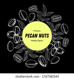 Pecan nuts hand drawn sketch. Pecan label, logo. Nuts vector illustration. Pecan branch. Organic healthy food. Great for packaging design. Engraved style. Black and white color.