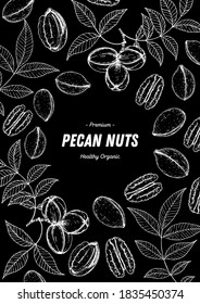 Pecan nuts hand drawn sketch. Nuts vector illustration. Organic healthy food. Great for packaging design. Engraved style. Black and white color.