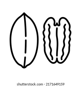 Pecan nuts icon. Pictogram isolated on a white background. Vector illustration. 