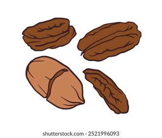 pecan nuts, including whole nuts, a cracked one, and shells, all brown and oval, casually arranged for package, menu, recipe, cookbook design.