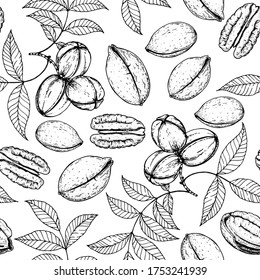 Pecan nuts seamless pattern. Hand drawn pecan nuts. Black and white. Organic food vector illustration. Vector design template. Great for packaging design. Hand drawn sketch.  Engraved style