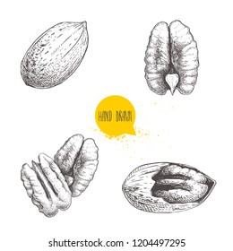 Pecan nuts set. Peeled core and whole shell. Hand drawn sketch style vector collection. Organic exotic food illustrations isolated on white background.