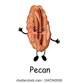 Pecan nut.Vector illustration. Cute CUTE Walnut character Isolated on a white background.