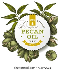 Pecan oil round paper label over colorful hand drawn nuts background. Vector illustration