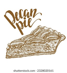 Pecan Pie.  Autumn Dessert in Hand Drawn Style for Surface Design Fliers Prints Cards Banners. Vector Illustration