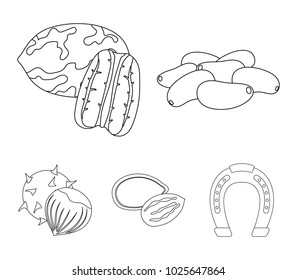 Pecan, pine nut, pumpkin seeds, chestnut.Different kinds of nuts set collection icons in outline style vector symbol stock illustration web.