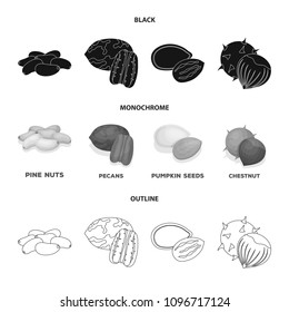 Pecan, pine nut, pumpkin seeds, chestnut.Different kinds of nuts set collection icons in black,monochrome,outline style vector symbol stock illustration web.