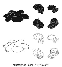 Pecan, pine nut, pumpkin seeds, chestnut.Different kinds of nuts set collection icons in black,outline style vector symbol stock illustration web.