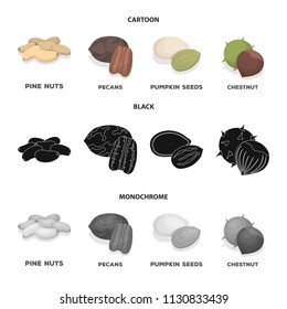 Pecan, pine nut, pumpkin seeds, chestnut.Different kinds of nuts set collection icons in cartoon,black,monochrome style vector symbol stock illustration web.
