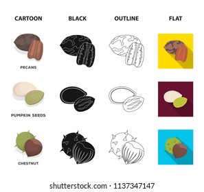 Pecan, pine nut, pumpkin seeds, chestnut.Different kinds of nuts set collection icons in cartoon,black,outline,flat style vector symbol stock illustration web.
