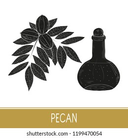 Pecan. Plant. Nut. Fruit, leaves, branch. Bottle with oil. Black silhouette on white background.
