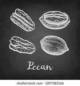 Pecan set. Chalk sketch of nuts on blackboard background. Hand drawn vector illustration. Retro style.