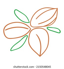 Pecan. Vektorsymbol, handgezeichnet, auf weißem Hintergrund.