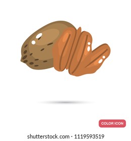 Pecan walnuts color flat icon
