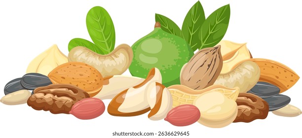 Pecans, Brazil nuts, peanuts, cashews, almonds, macadamia nuts and sunflower seeds are forming a colorful composition with some green leaves on a white background