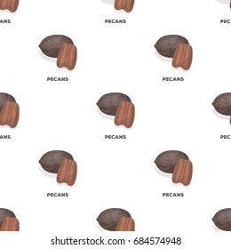 Pecans.Different kinds of nuts single icon in cartoon style vector symbol stock illustration.