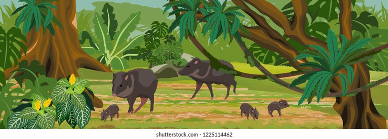 Peccary in the jungle. A tropical forest. Rainforests of Amazonia. Tree, epiphytes, creepers, banana trees and monsteras. Realistic Vector Landscape