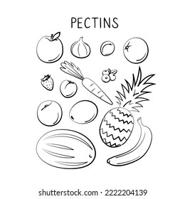 Pectins-containing food. Groups of healthy products containing vitamins and minerals. Set of fruits, vegetables, meats, fish and dairy