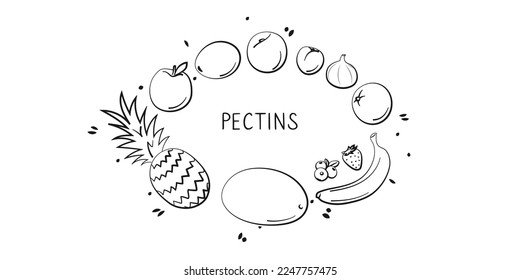 Pectins-containing food. Groups of healthy products containing vitamins and minerals. Set of fruits, vegetables, meats, fish and dairy.