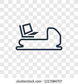Pedal boat concept vector linear icon isolated on transparent background, Pedal boat concept transparency concept in outline style