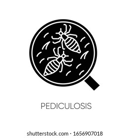 Pediculosis black glyph icon. Contagious medical problem, epidemic disease, head lice silhouette symbol on white space. Tiny insects under magnifying glass Vector isolated illustration