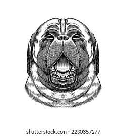 Pedigree Bulldog. Domestic dog. Animal in vintage style. Retro vector illustration. Doodle style. Hand drawn engraved sketch