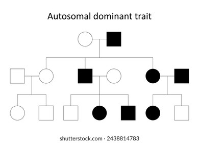 Pedigree chart. Autosomal dominant trait.